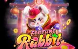 Fortune Rabbit